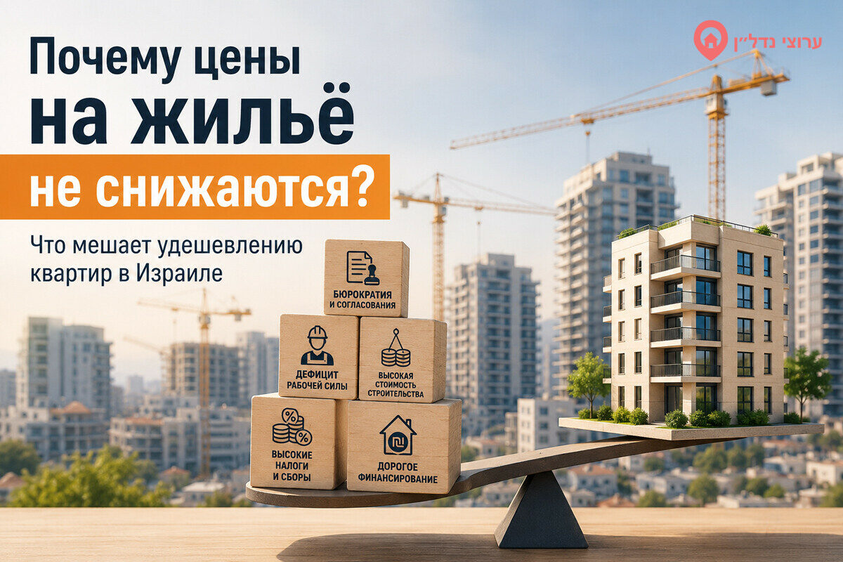 Почему цены на жильё в Израиле не снижаются: что действительно мешает удешевлению квартир