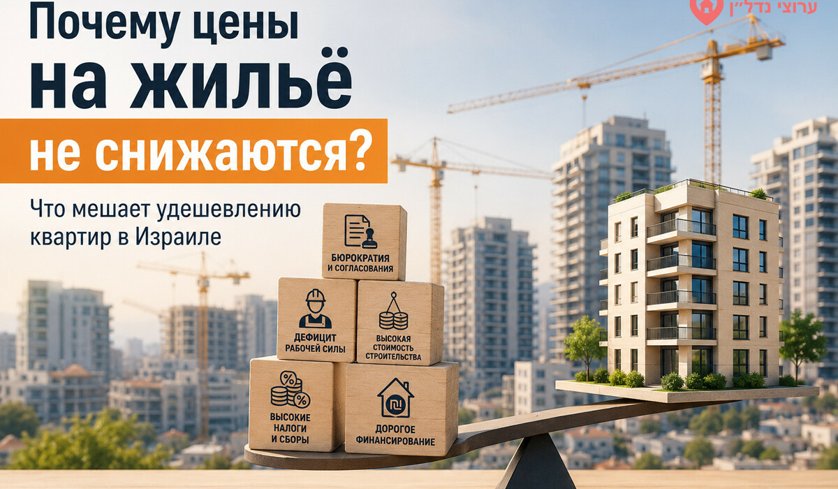 Почему цены на жильё в Израиле не снижаются: что действительно мешает удешевлению квартир