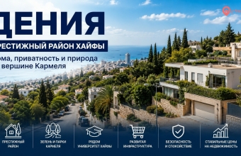 Дения (דניה)