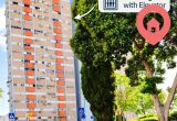 фото 3 из 10