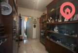 фото 3 из 6