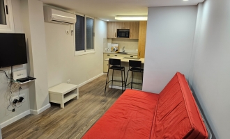 1 комн. квартира