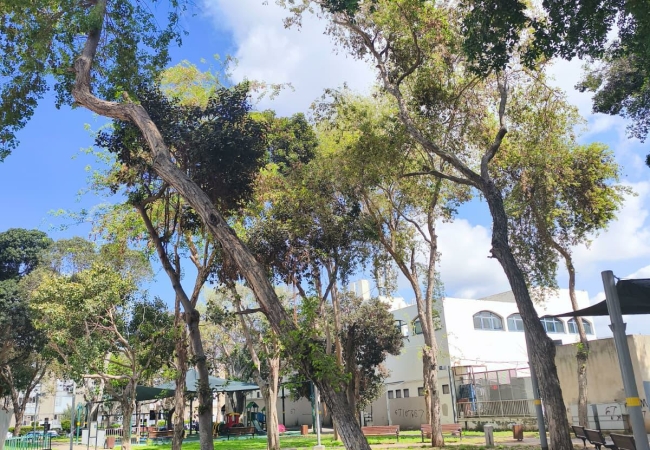 Вид из салона