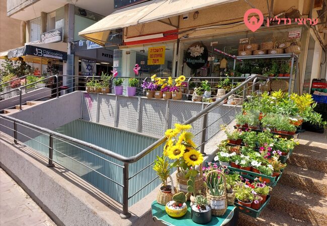 2-room office, For rent, Netanya, Smilanski — photo 1 of 4