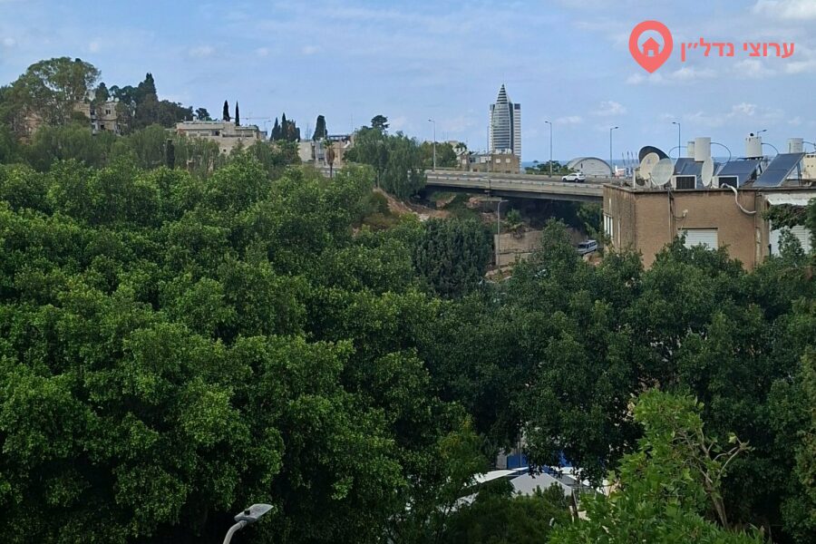 1.5 комн. квартира, Аренда, Хайфа, ХаГиборим, фото 5 из 6