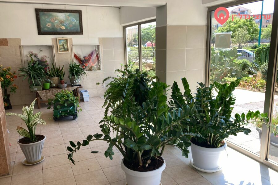 3 комн. квартира, Продажа, Кирьят-Ям, שדרות ירושלים — фото 10 из 10
