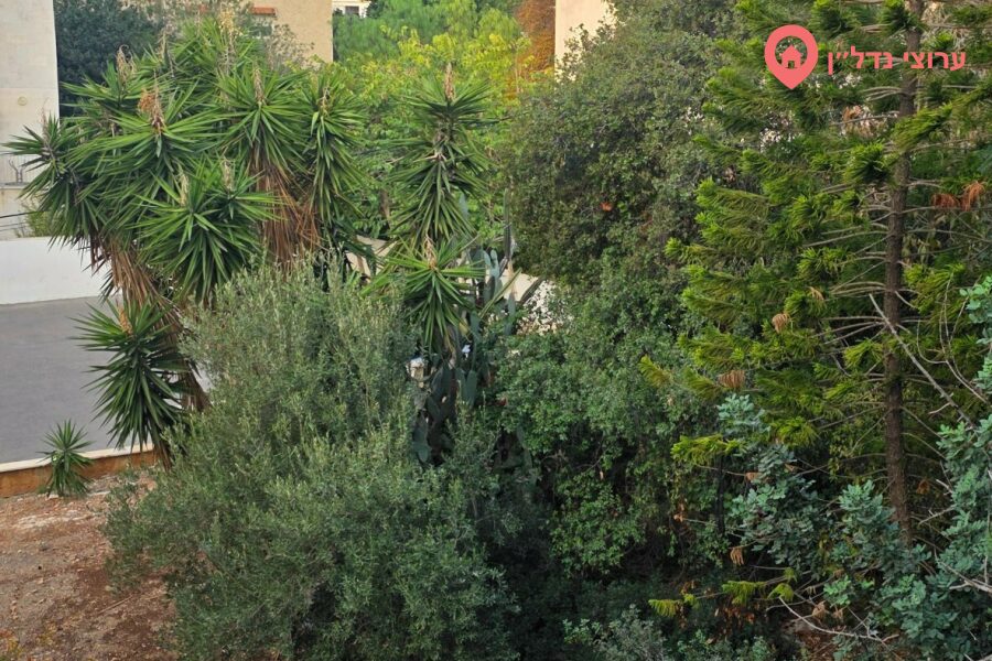 5 комн. квартира, Продажа, Хайфа, Дерех ха Ям, фото 3 из 6