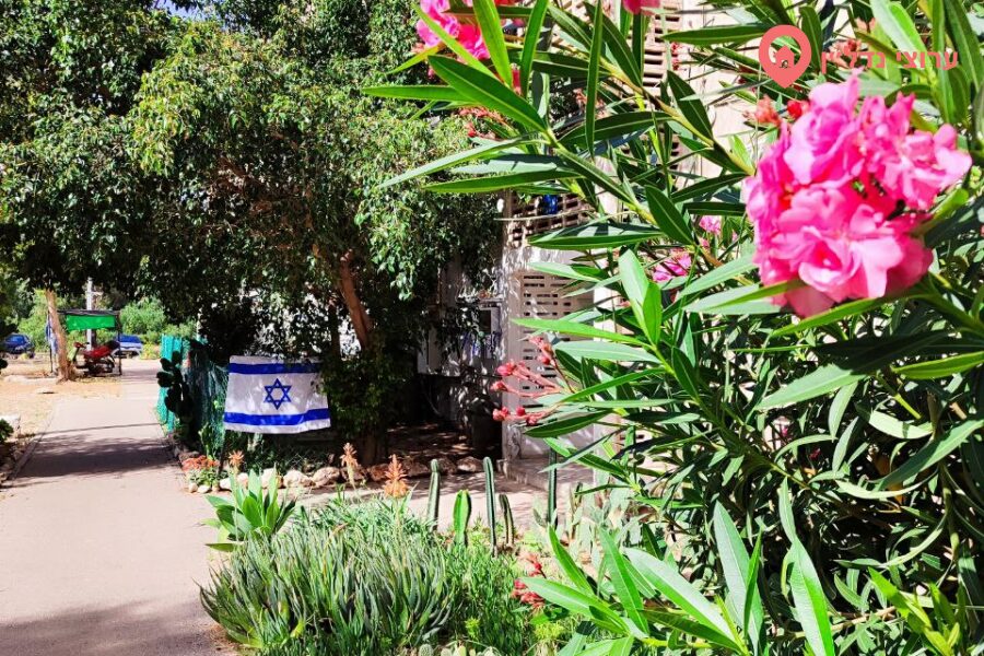 2.5 комн. квартира, Аренда, Хайфа, Sderot Deganya — фото 6 из 9